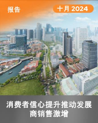 Monthly Developer Sales Oct 2024 (Mandarin)